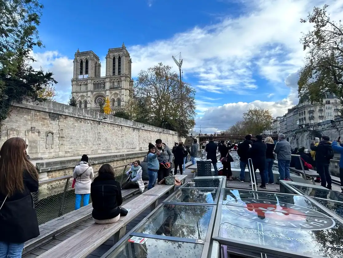 Biglietti crociera Torre Eiffel: vista di Notre-Dame dal fiume