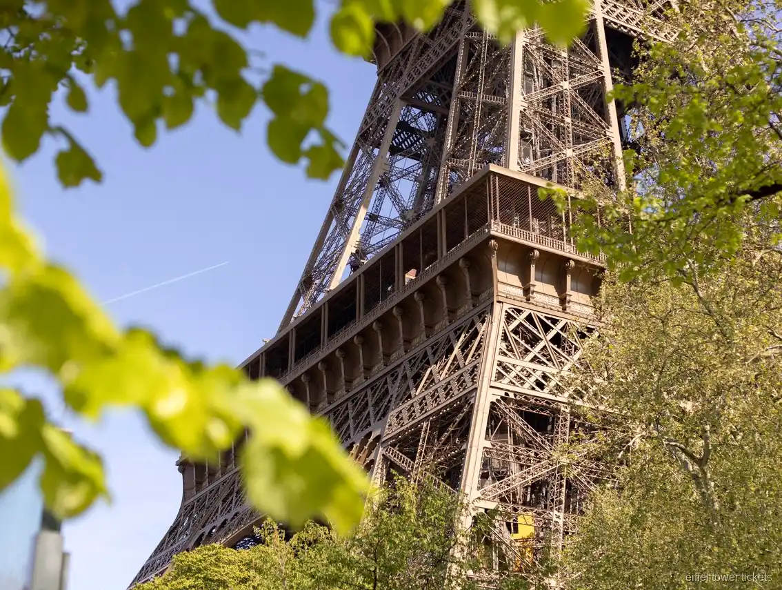 Toast au champagne pendant un dîner à la tour Eiffel