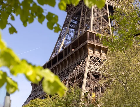 Brindis amb xampany durant un sopar a la Torre Eiffel